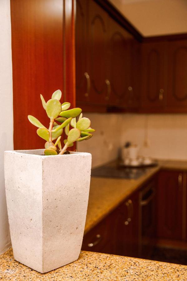 Oasis Zante Apartment 외부 사진